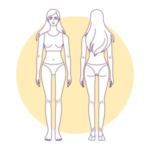 body type, hourglass body, female body shape