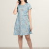 Women Rayon Blue Dress