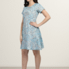 Women Rayon Blue Dress